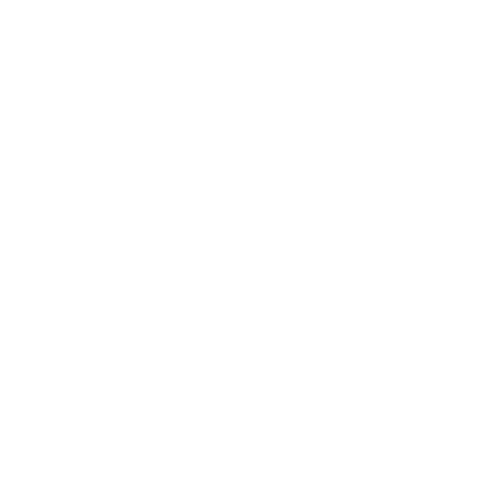Avitel Logo